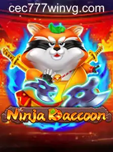 NinjaRaccoon
